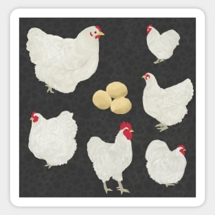 White Orpington Chicken Pattern Sticker